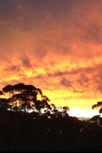 a sunset with trees and clouds in the sky at Avoca Beach and Bush in Avoca Beach