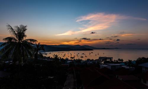 un tramonto su uno specchio d'acqua con una palma di Sunset Sea View Apartment a Bangrak Beach