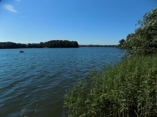 a boat on a lake with trees in the background at Hotel Mazuria Country & SPA in Mrągowo