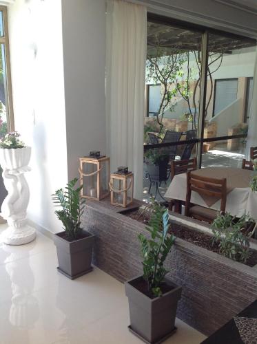 a room with three potted plants and a window at Angela Hotel in Agia Marina Aegina