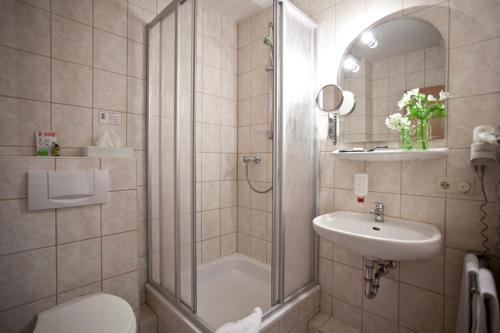 y baño con ducha, aseo y lavamanos. en Nationalparkhotel Kranichrast, en Schwarzenhof
