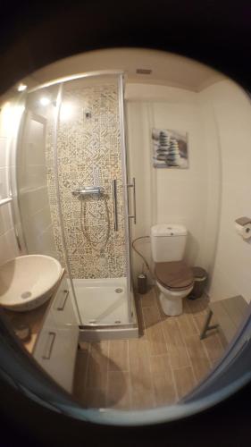 a bathroom with a shower and a toilet at Hotel & Restaurant Le Chalvet in Embrun