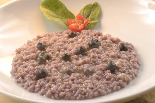 a plate ofinoa and blueberries on a white plate at Alpstyle Hotel Albolina Wellness & Beauty in Canazei