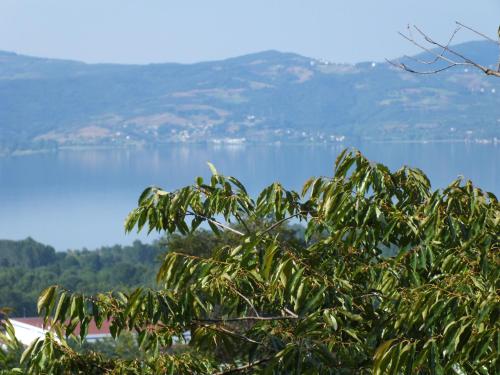 a view of a lake from behind a tree at Sapanca Dilek Konagi Hotel in Sapanca