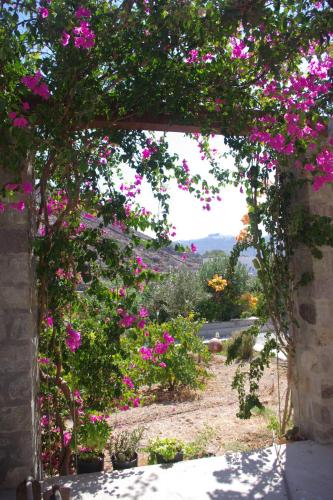 an archway with pink flowers in a garden at Villa Patmos Netia in Patmos