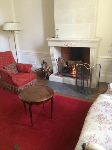 a living room with a fireplace and a red rug at La Maison de Saumur in Saumur