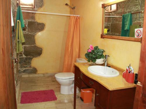 a bathroom with a toilet and a sink and a shower at Casa Rural La Pileta - Bentejui in Agüimes