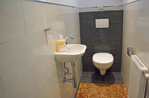 a bathroom with a sink and a toilet at Stubai Apartment Telfes in Telfes im Stubai