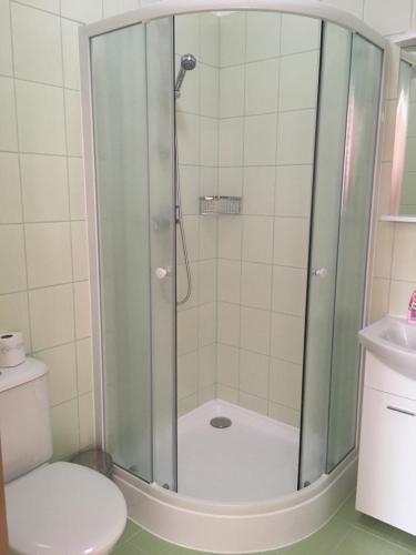 a shower in a bathroom with a toilet and a sink at Penzion Janovice in Janovice nad Úhlavou