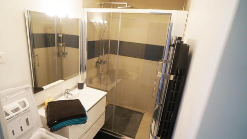 W łazience znajduje się prysznic i umywalka. w obiekcie L'appartement Richard w mieście Beaune
