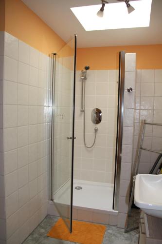 ein Bad mit einer Dusche und einem Waschbecken in der Unterkunft dresdnerferienwohnung - apartment am großen garten in Dresden