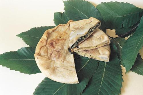 a leaf with a snail sitting on top of it at Hotel Dell'Orto in Chiavari