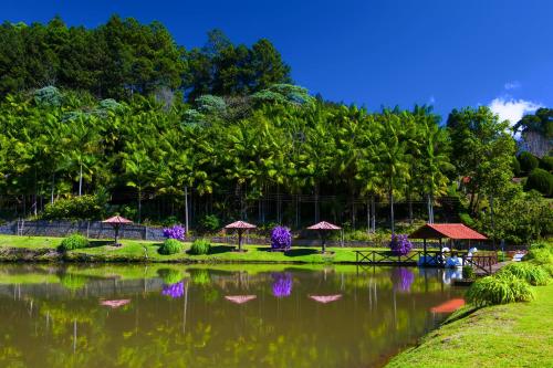 a pond with tables and umbrellas in a park at Pousada dos Pinhos in Pedra Azul