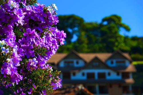 a bunch of purple flowers in front of a house at Pousada dos Pinhos in Pedra Azul