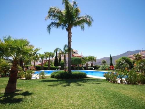a palm tree next to a swimming pool at Belvilla by OYO El Mirador in Alhaurín el Grande