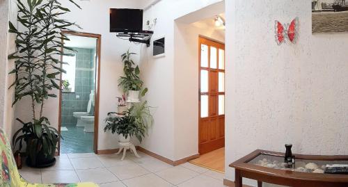 un couloir avec des plantes en pot et une salle de bains. dans l'établissement Apartments Dandolo, à Rovinj