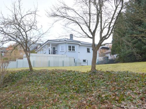 ウルメンにあるApartment in Ulmen near the lakeの庭に木が2本ある白い家