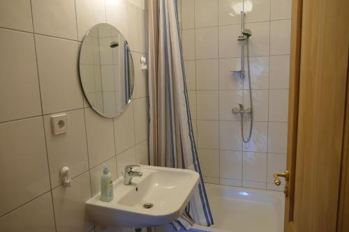 ein Bad mit einem Waschbecken, einer Dusche und einem Spiegel in der Unterkunft Weingut & Schloss Freiherr v. Landenberg in Ediger-Eller