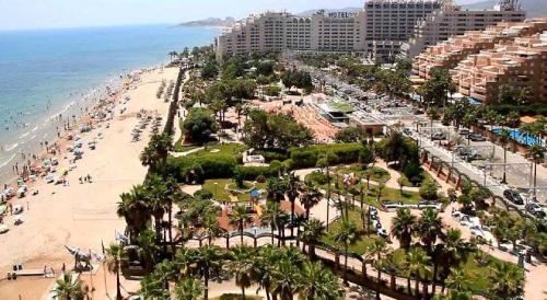 een luchtzicht op een strand met palmbomen en gebouwen bij Apartamentos Boutique Playa in Cabanes