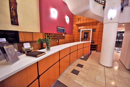 Кухня или мини-кухня в Angelika Pallas Hotel
