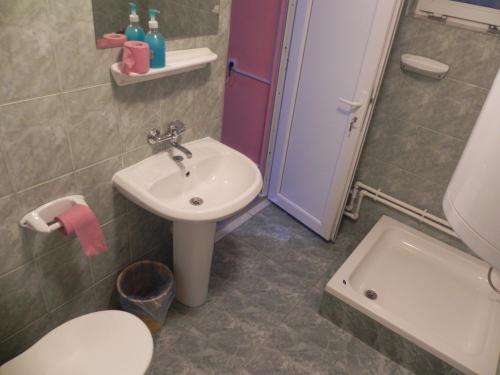 a bathroom with a sink and a toilet and a shower at Pension Puiu in Dunavăţu de Jos