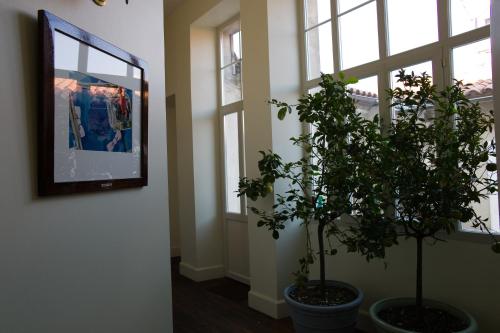 a room with two potted plants and a tv on a wall at Hostellerie du Coq d'Or in Jonzac
