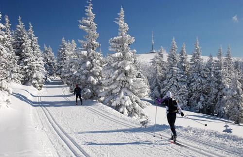 two people are skiing down a snow covered slope at Turistická chata Švýcarna in Loučná nad Desnou