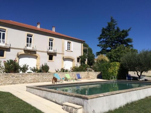 un chien debout à côté d'une piscine en face d'une maison dans l'établissement Mas Vinson, à Moulézan