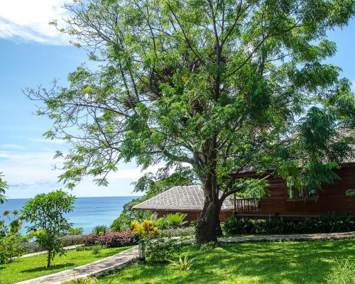 a tree in a yard next to a house at Bunaken Oasis Dive Resort and Spa in Bunaken