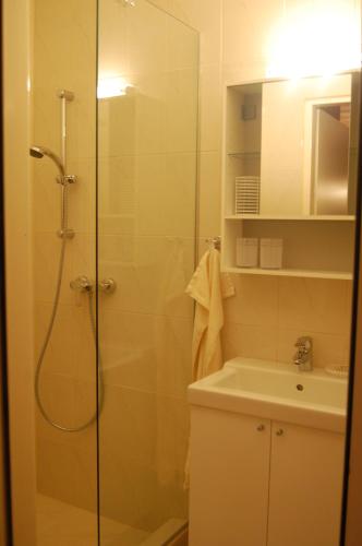 a bathroom with a shower and a sink at Hofgassl Zentgraf in Mörbisch am See