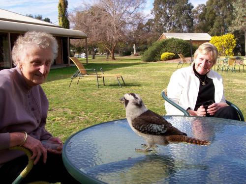 a man and a woman sitting at a table with a bird at Cadell On The Murray Motel in Moama