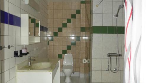 a bathroom with a toilet and a sink and a shower at Grums Old House in Grums