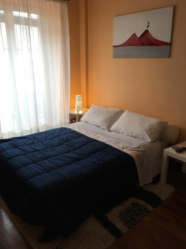 una camera da letto con un letto con una coperta blu e una finestra di Toledo Suite a Napoli