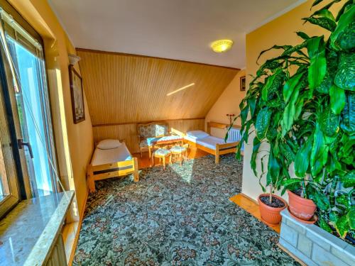 a living room with a plant mural on the wall at Apartament Kaszubski in Ostrzyce