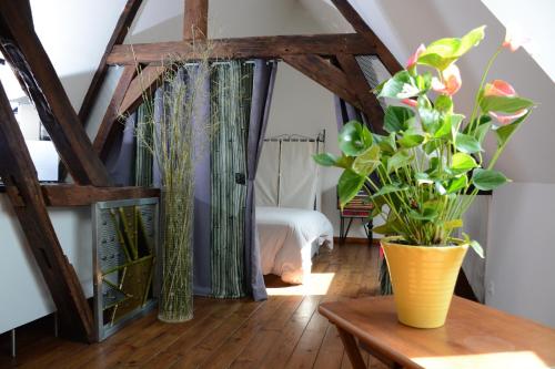una habitación con una mesa y un jarrón con una planta en Loft en bulles, en Épernay