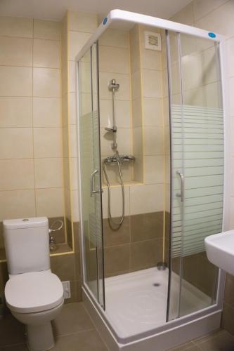a bathroom with a shower with a toilet and a sink at Hotel Merkur in Miercurea-Ciuc