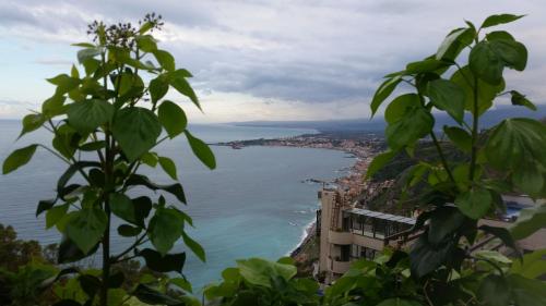 a view of the ocean from a tree at Villa Laura Apartment in Giardini Naxos