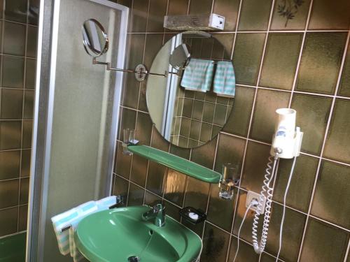 ein Badezimmer mit einem grünen Waschbecken und einem Spiegel in der Unterkunft Gästehaus Eder in Schrobenhausen