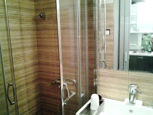 アギオス・イオアニス・ペリオンにあるElsa Apartmentのバスルーム(シャワー、洗面台、トイレ付)