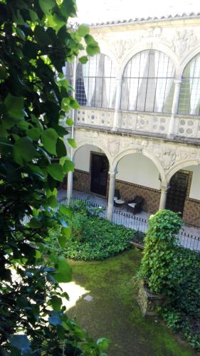 a courtyard of a building with plants and trees at Palacio de la Rambla in Úbeda