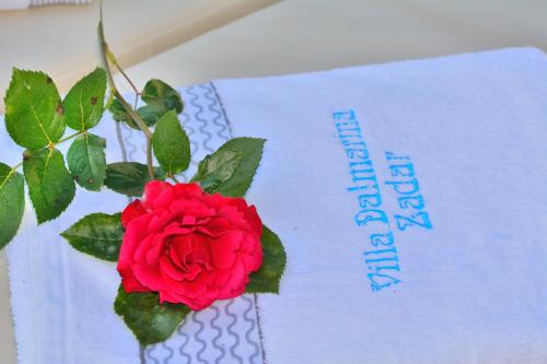 a red rose sitting on top of a piece of paper at Villa Dalmatina Zadar mit Pool in Zadar