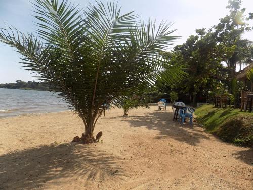 Livani Beach Motel – Photos 3