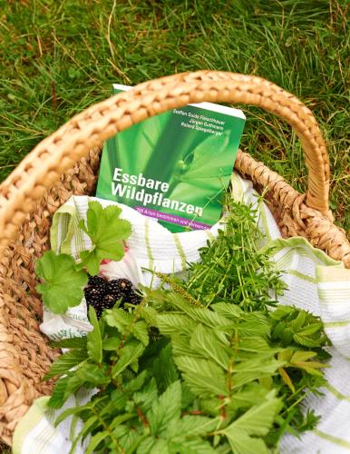 a basket with plants and a book on the grass at Naturkost-Hotel Harz in Bad Grund