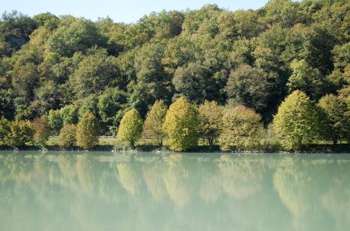 a view of a lake with trees in the background at La Source in Porcieu-Amblagnieu