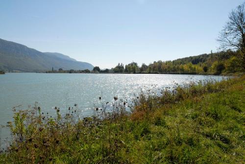 a large lake with ducks swimming in the water at La Source in Porcieu-Amblagnieu