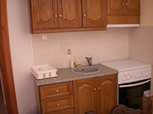 eine Küchenarbeitsplatte mit Spüle und Herd in der Unterkunft Kelenis Apartments in Karterados