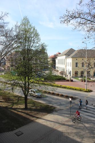 Gallery image of Main Square Apartment in Makó