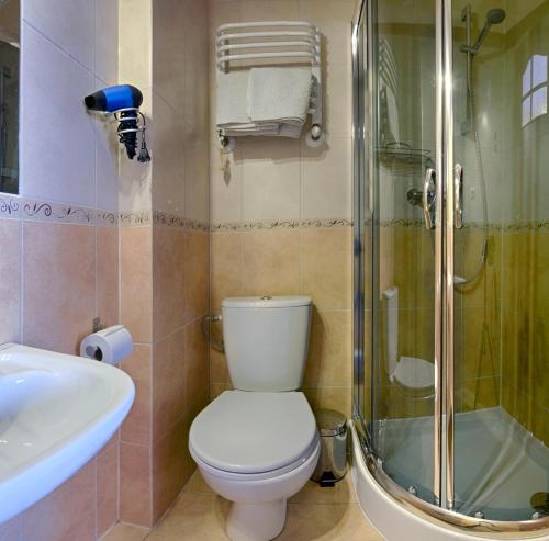 a bathroom with a toilet and a shower and a sink at Pokoje Pod Bocianem in Chochołów