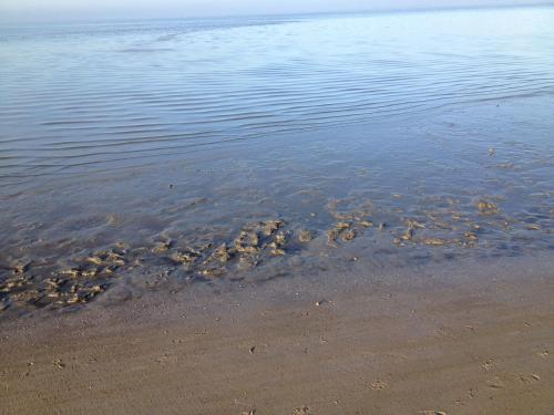 a group of rocks in the sand on the beach at Ferienwohnung An Bord in Dangast