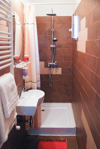 a small bathroom with a sink and a shower at Apartment House Timisoara in Timişoara